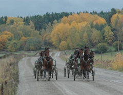 Foto; A.Lindblom/Travkompaniet